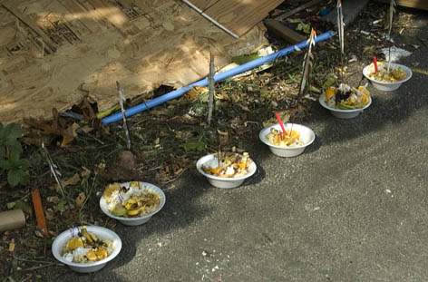 Food offering at edge of parking lot