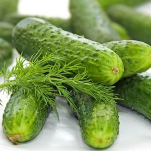 Pickling cumbers and dill